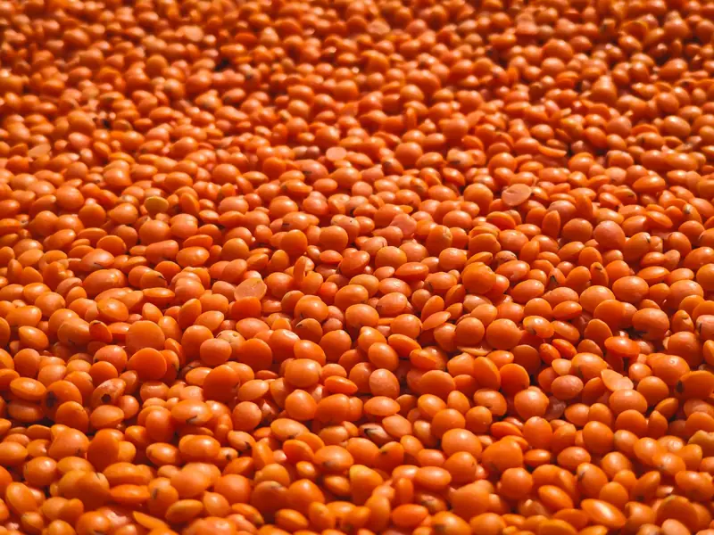 Dhal de Lentilles